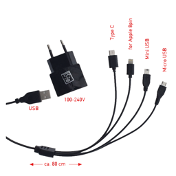 Picture of Mini 4 in 1 USB Netzladegerät 100V-240V 1A für Apple 8pin - Micro-USB - Mini-USB - Type-C schwarz
